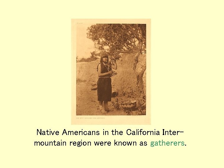 Native Americans in the California Intermountain region were known as gatherers. Native Americans in the California Intermountain region were known as gatherers.