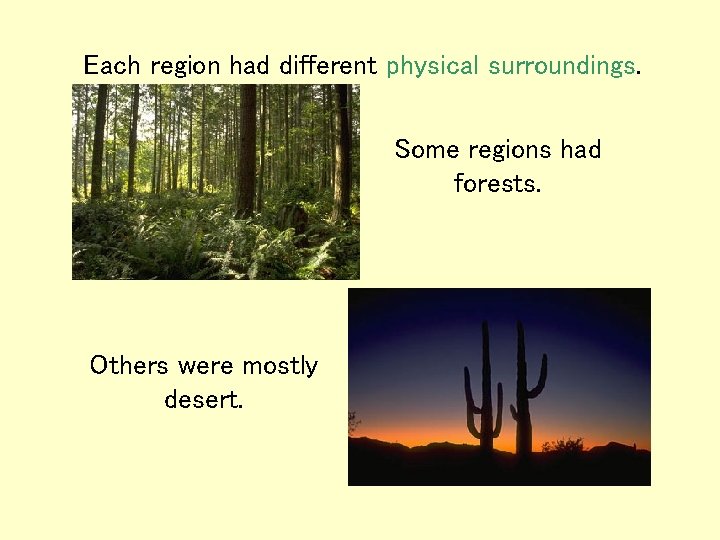 Each region had different physical surroundings. Some regions had forests. Others were mostly desert. Each region had different physical surroundings. Some regions had forests. Others were mostly desert.