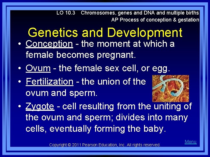 LO 10. 3 Chromosomes, genes and DNA and multiple births AP Process of conception