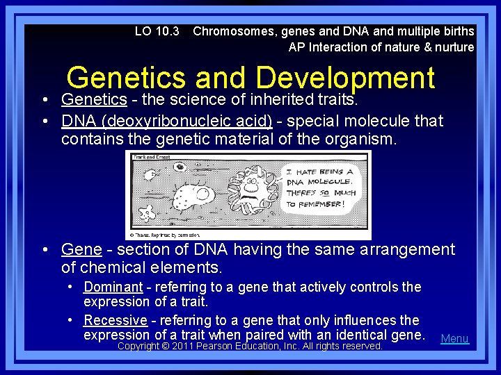 LO 10. 3 Chromosomes, genes and DNA and multiple births AP Interaction of nature