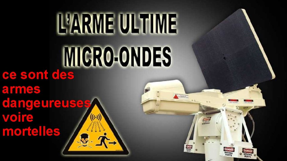 ce sont des armes dangeureuses voire mortelles 