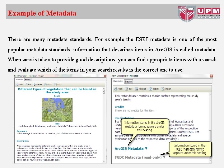 Example of Metadata There are many metadata standards. For example the ESRI metadata is