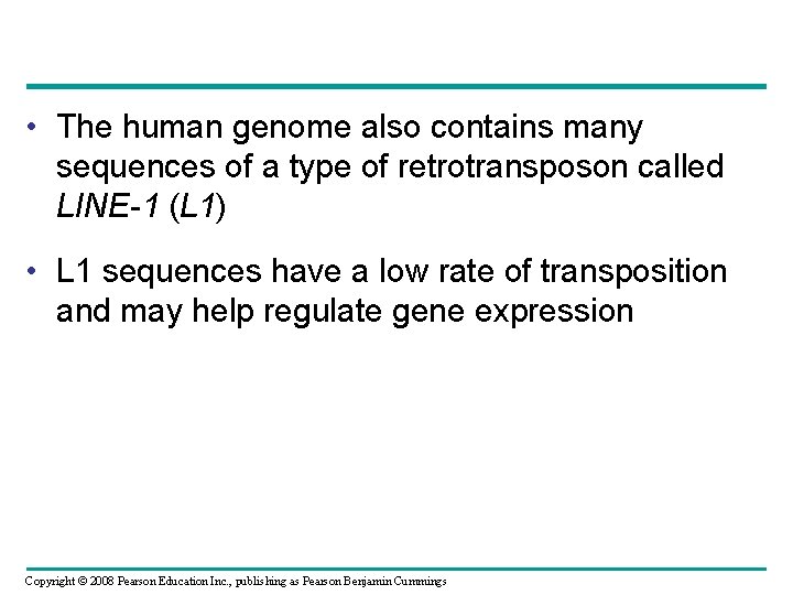  • The human genome also contains many sequences of a type of retrotransposon