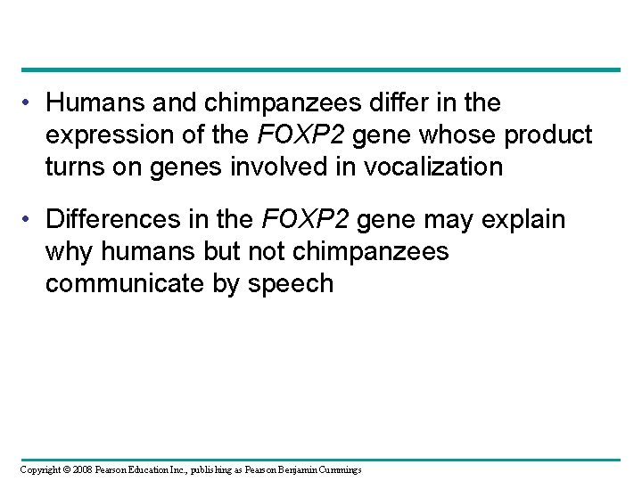  • Humans and chimpanzees differ in the expression of the FOXP 2 gene