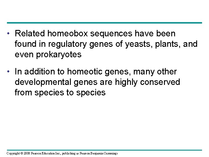  • Related homeobox sequences have been found in regulatory genes of yeasts, plants,