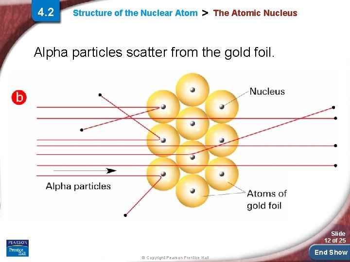 4. 2 Structure of the Nuclear Atom > The Atomic Nucleus Alpha particles scatter