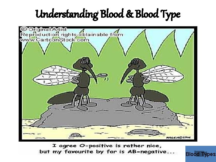Understanding Blood & Blood Types 
