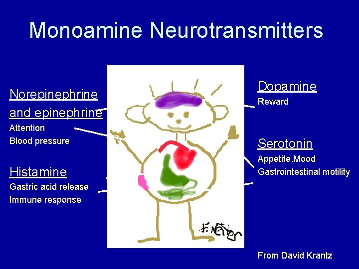 Monoamine Neurotransmitters Norepinephrine and epinephrine Attention Blood pressure Histamine Dopamine Reward Serotonin Appetite, Mood