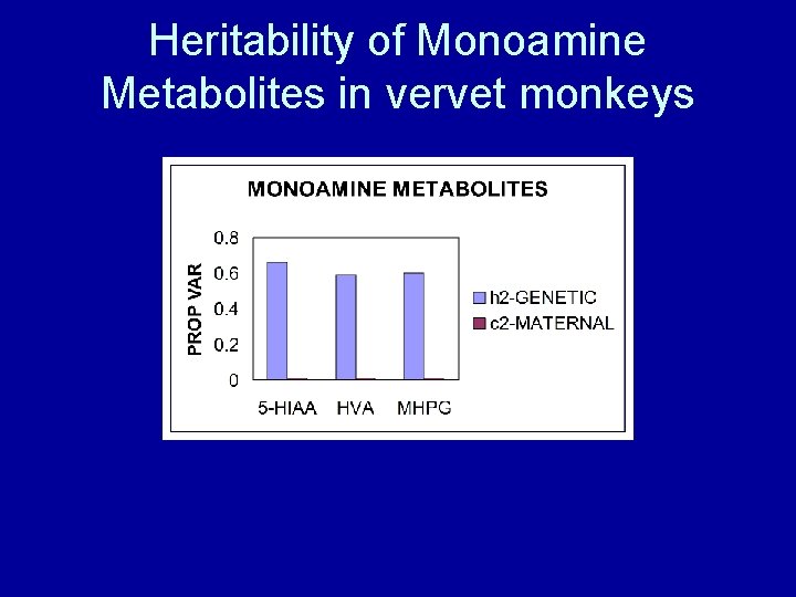 Heritability of Monoamine Metabolites in vervet monkeys 