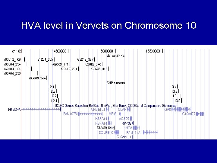 HVA level in Vervets on Chromosome 10 