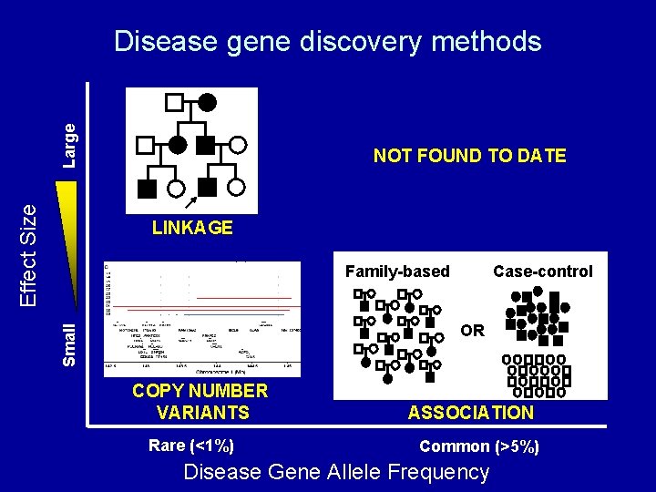 Effect Size Large Disease gene discovery methods NOT FOUND TO DATE LINKAGE Family-based Case-control