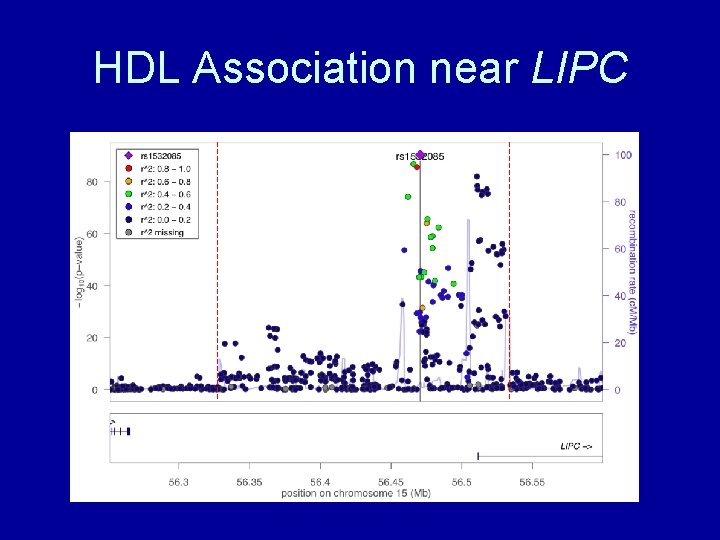 HDL Association near LIPC 