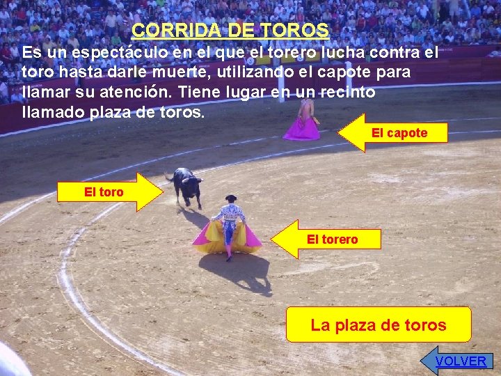 CORRIDA DE TOROS Es un espectáculo en el que el torero lucha contra el