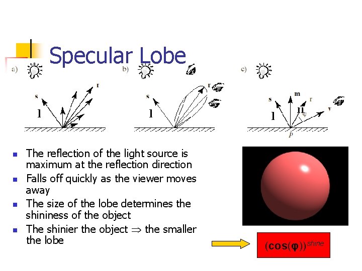 Specular Lobe n n The reflection of the light source is maximum at the