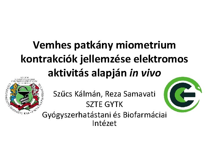 Vemhes patkány miometrium kontrakciók jellemzése elektromos aktivitás alapján in vivo Szűcs Kálmán, Reza Samavati