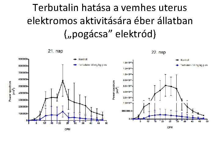 Terbutalin hatása a vemhes uterus elektromos aktivitására éber állatban („pogácsa” elektród) 