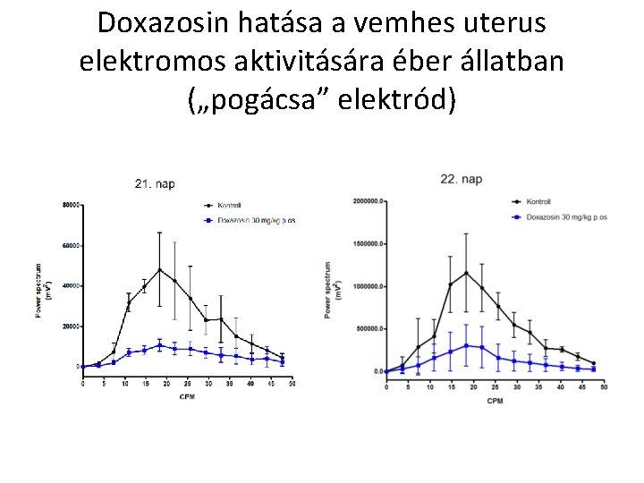 Doxazosin hatása a vemhes uterus elektromos aktivitására éber állatban („pogácsa” elektród) 