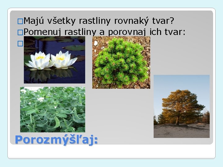 �Majú všetky rastliny rovnaký tvar? �Pomenuj rastliny a porovnaj ich tvar: �Porovnaj: Porozmýšľaj: 