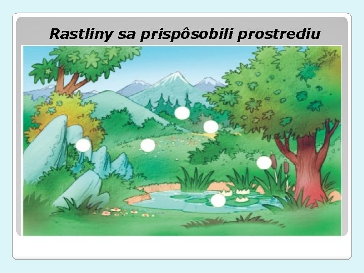 Rastliny sa prispôsobili prostrediu 