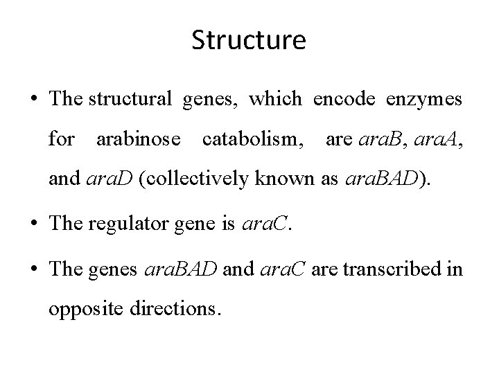 Structure • The structural genes, which encode enzymes for arabinose catabolism, are ara. B,