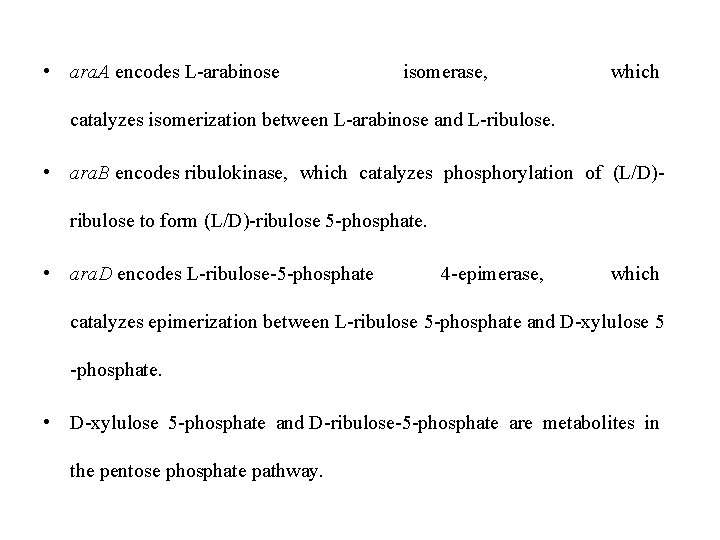  • ara. A encodes L-arabinose isomerase, which catalyzes isomerization between L-arabinose and L-ribulose.