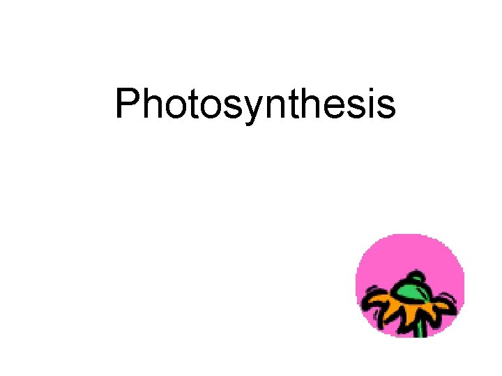 Photosynthesis 