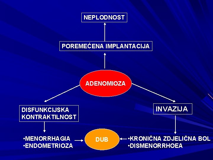 NEPLODNOST POREMEĆENA IMPLANTACIJA ADENOMIOZA INVAZIJA DISFUNKCIJSKA KONTRAKTILNOST • MENORRHAGIA • ENDOMETRIOZA DUB • KRONIČNA