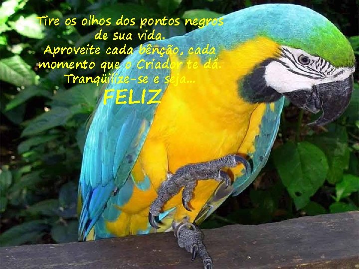 Tire os olhos dos pontos negros de sua vida. Aproveite cada bênção, cada momento