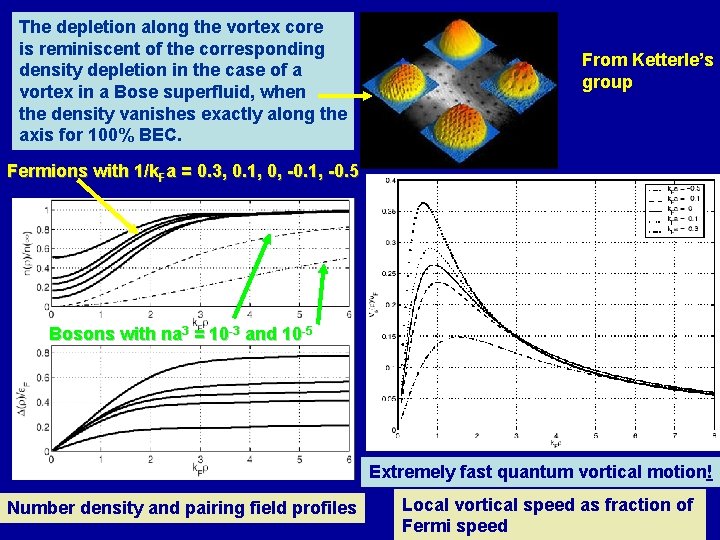 The depletion along the vortex core is reminiscent of the corresponding density depletion in