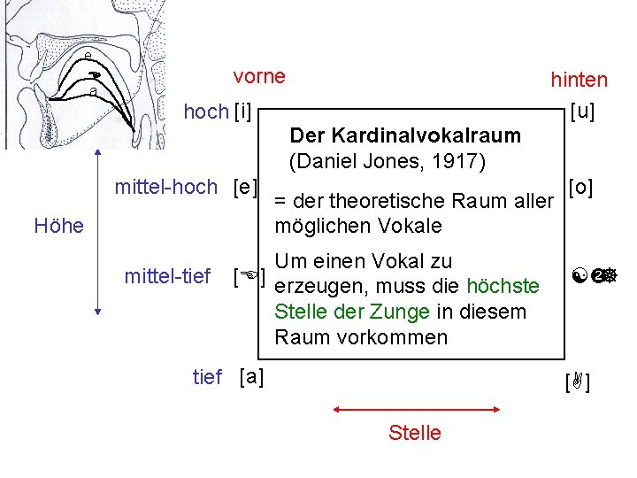 e E a vorne hinten [u] hoch [i] Der Kardinalvokalraum (Daniel Jones, 1917) mittel-hoch