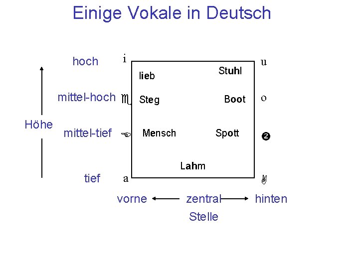 Einige Vokale in Deutsch hoch i Stuhl lieb mittel-hoch e Steg Höhe Boot mittel-tief