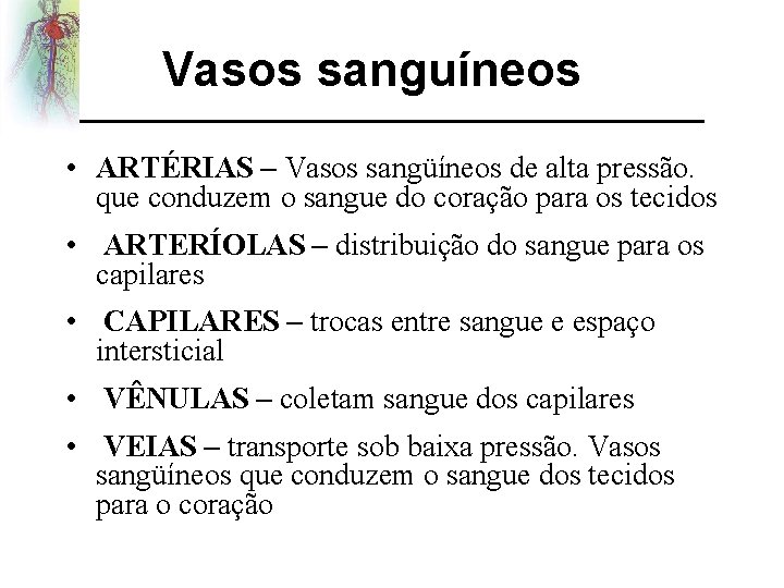 Vasos sanguíneos • ARTÉRIAS – Vasos sangüíneos de alta pressão. que conduzem o sangue