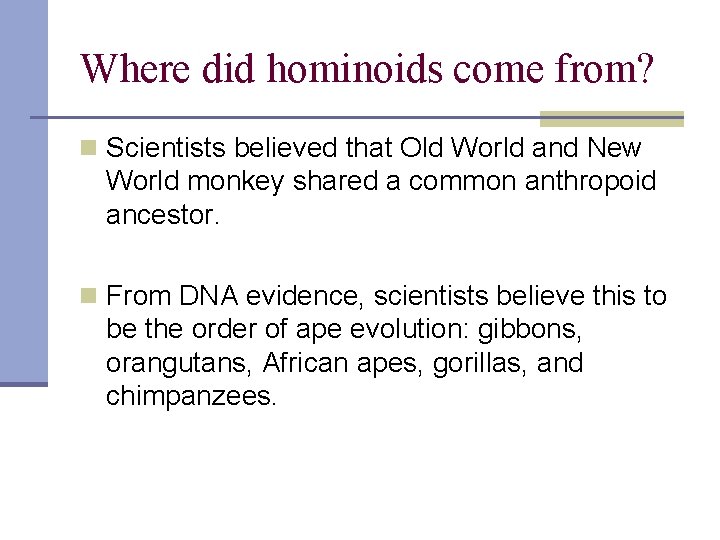 Where did hominoids come from? n Scientists believed that Old World and New World