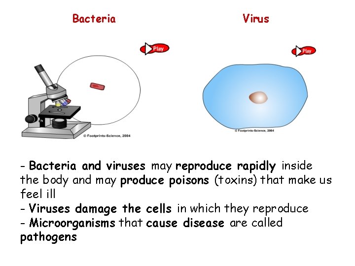 Bacteria Virus - Bacteria and viruses may reproduce rapidly inside the body and may