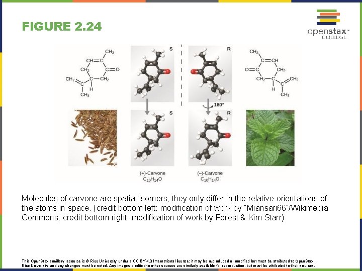 FIGURE 2. 24 Molecules of carvone are spatial isomers; they only differ in the
