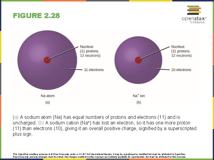 FIGURE 2. 28 (a) A sodium atom (Na) has equal numbers of protons and