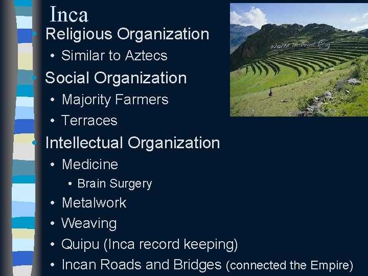 Inca • Religious Organization • Similar to Aztecs • Social Organization • Majority Farmers