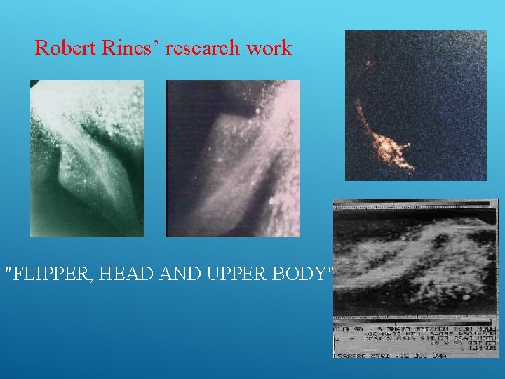 Robert Rines’ research work "FLIPPER, HEAD AND UPPER BODY" 11 