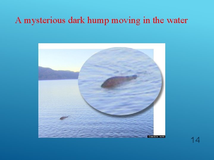 A mysterious dark hump moving in the water 14 
