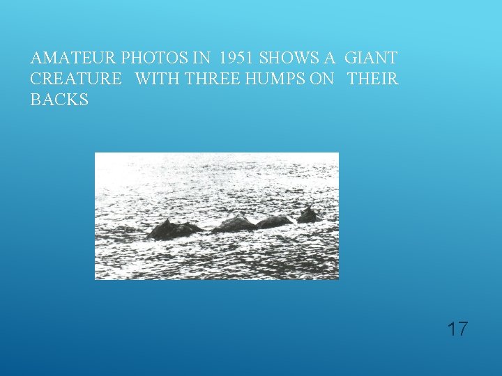 AMATEUR PHOTOS IN 1951 SHOWS A GIANT CREATURE WITH THREE HUMPS ON THEIR BACKS