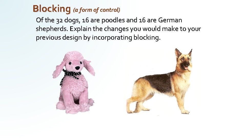 Blocking (a form of control) Of the 32 dogs, 16 are poodles and 16 Blocking (a form of control) Of the 32 dogs, 16 are poodles and 16