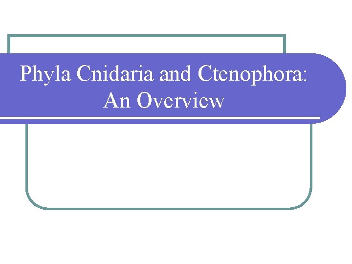 Phyla Cnidaria and Ctenophora: An Overview 