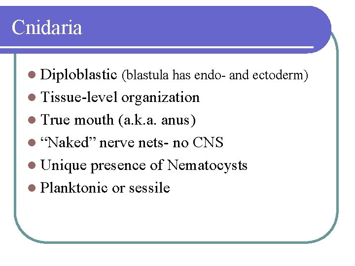 Cnidaria l Diploblastic (blastula has endo- and ectoderm) l Tissue-level organization l True mouth