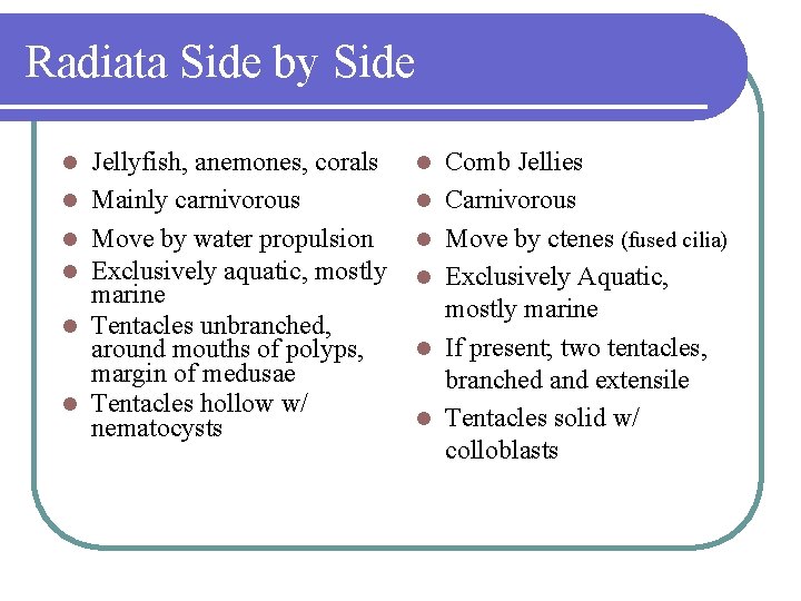 Radiata Side by Side l l l Jellyfish, anemones, corals Mainly carnivorous Move by