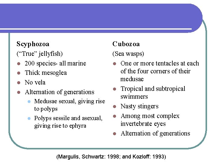 Scyphozoa Cubozoa (“True” jellyfish) l 200 species- all marine l Thick mesoglea l No