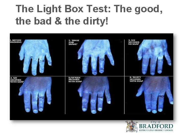 The Light Box Test: The good, the bad & the dirty! 