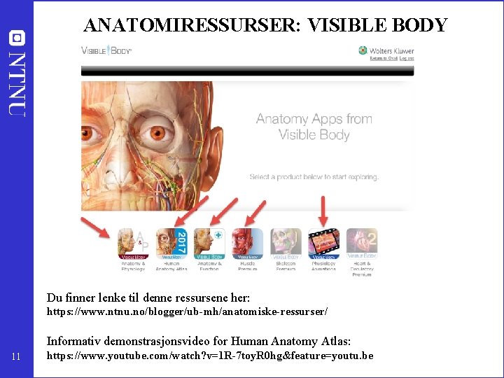 ANATOMIRESSURSER: VISIBLE BODY Du finner lenke til denne ressursene her: https: //www. ntnu. no/blogger/ub-mh/anatomiske-ressurser/