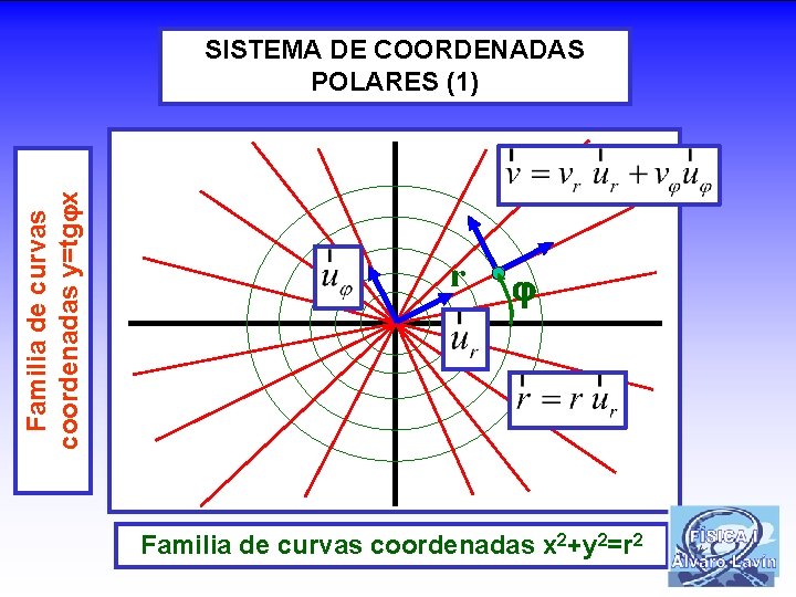 Familia de curvas coordenadas y=tg x SISTEMA DE COORDENADAS POLARES (1) r Familia de