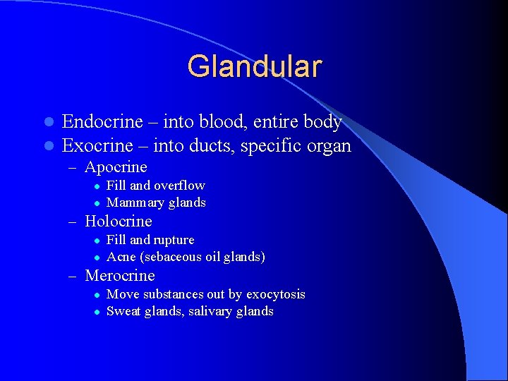 Glandular l l Endocrine – into blood, entire body Exocrine – into ducts, specific
