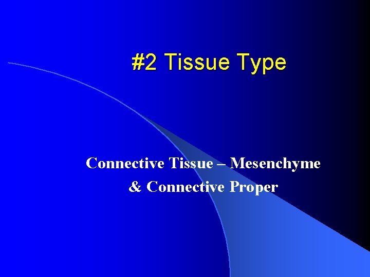 #2 Tissue Type Connective Tissue – Mesenchyme & Connective Proper 